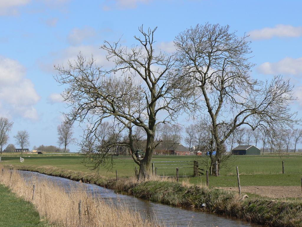 Groningen Buiten B&B Zuidhorn 외부 사진