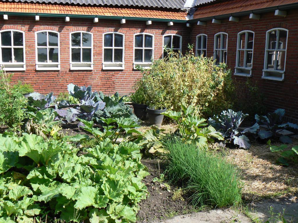 Groningen Buiten B&B Zuidhorn 외부 사진