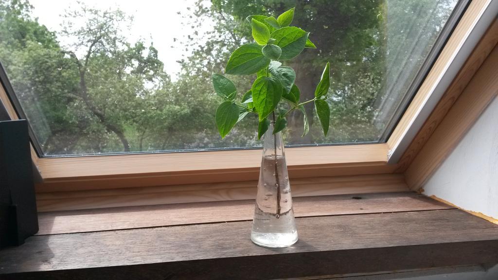Groningen Buiten B&B Zuidhorn 외부 사진