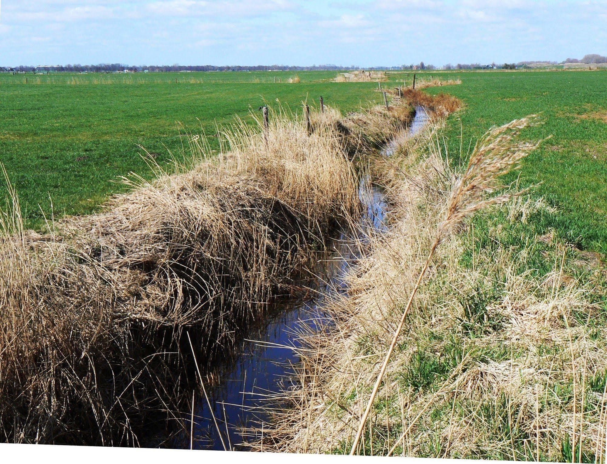 Groningen Buiten B&B Zuidhorn 외부 사진